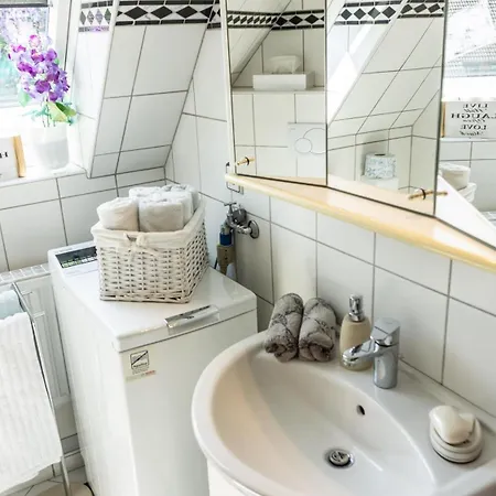 Wattloewe * Tönning